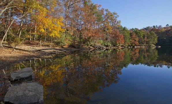 View of water and trees.