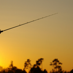 Man fishing at sunset