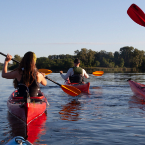 lake norman kayaking, group of people kayaking